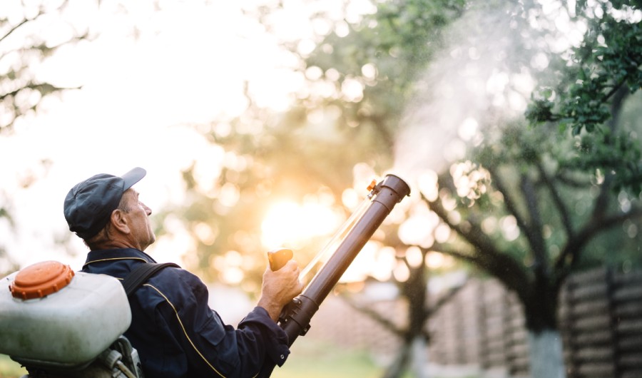 Handyman using backpack machine for spraying organic pesticides